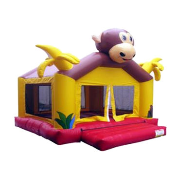 Commercieel opblaasbaar springkasteel 5*5*3m