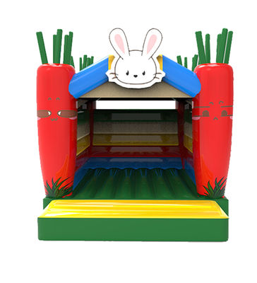 Wortelkolom opblaasbaar klein springhuis Indoor Palyground