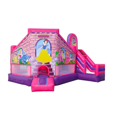 Opblaasbare roze paarse Disneyland Princess Bouncy Castle voor kinderen