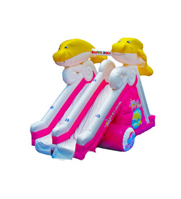 Dolfijn Dubbelbaan opblaasbare glijbaan voor kinderen pretpark
