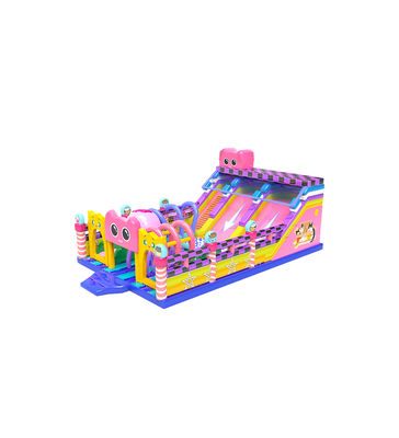 Roze Paarse Grote Glijbanen Opblaasbare Bouncy Castle Kinderspeelplaats